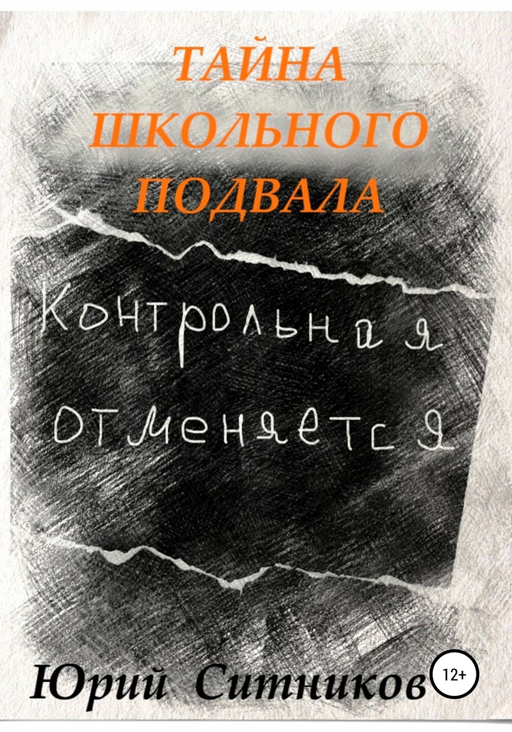 Обложка книги «Тайна школьного подвала»