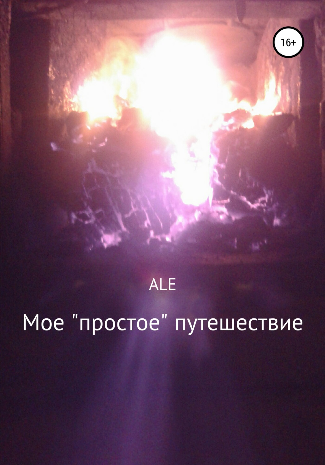 Обложка книги «Мое «простое» путешествие»