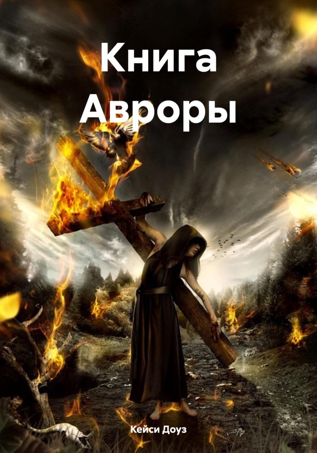 Обложка книги «Книга Авроры»