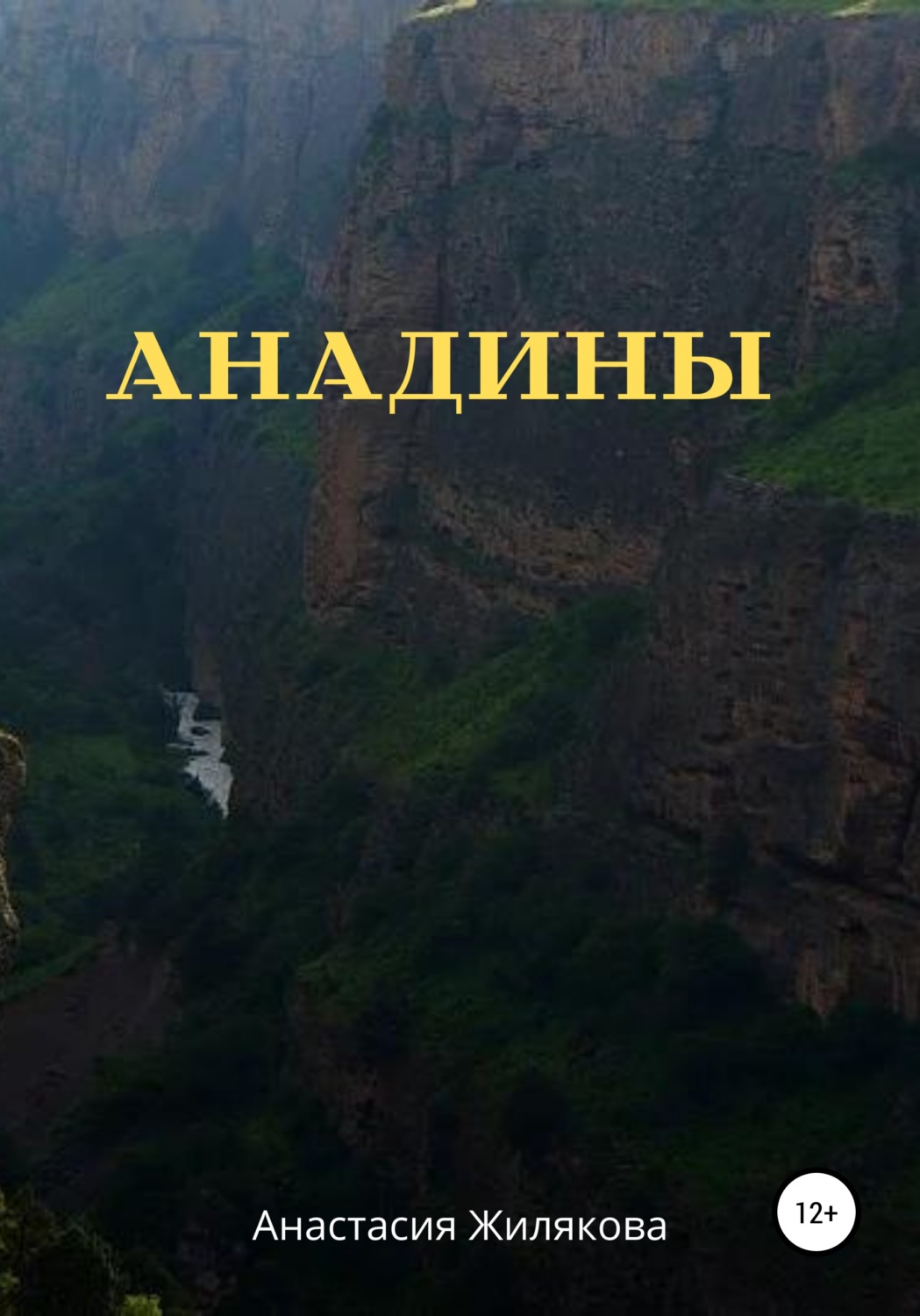 Обложка книги «Анадины»