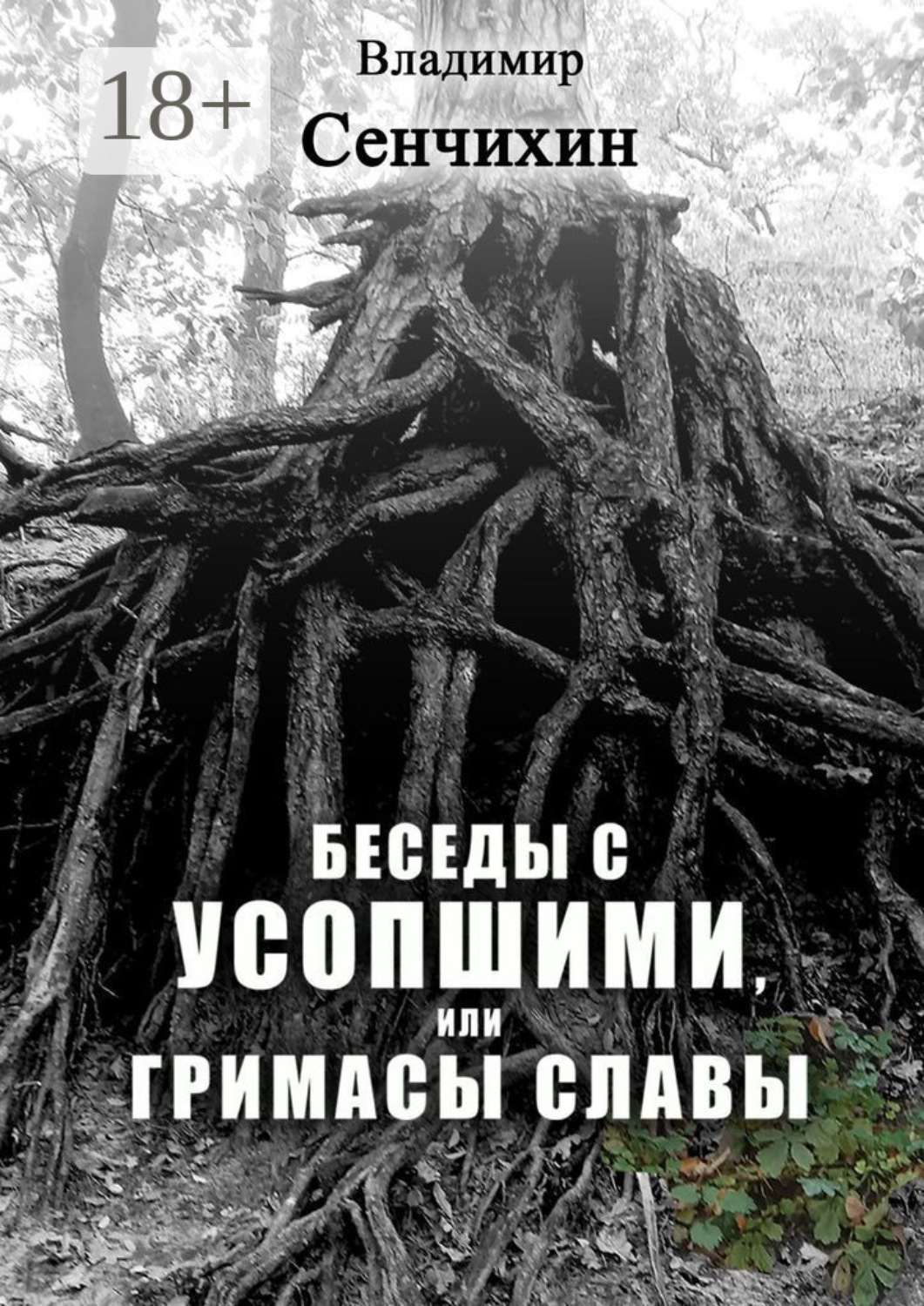 Обложка книги «Беседы с усопшими, или Гримасы славы»