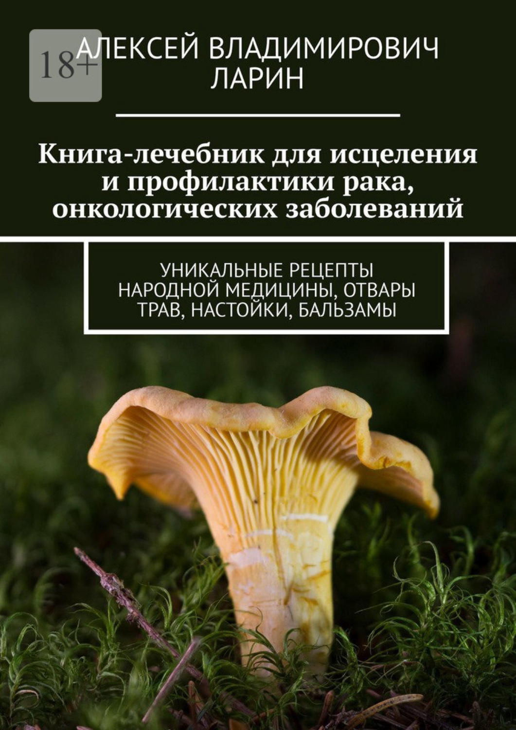 Обложка книги «Книга-лечебник для исцеления и профилактики рака, онкологических заболеваний. Уникальные рецепты народной медицины, отвары трав, настойки, бальзамы»