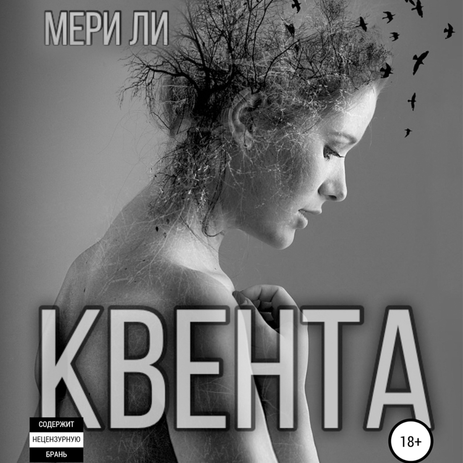 Обложка книги «Квента»