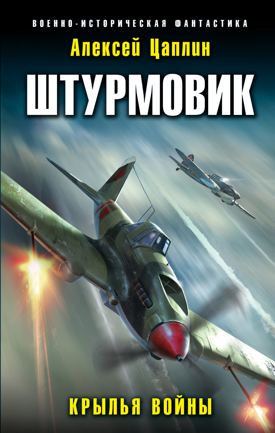 Обложка книги «Штурмовик. Крылья войны»