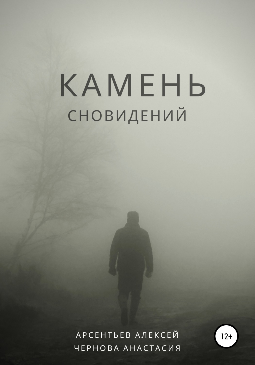 Обложка книги «Камень сновидений»
