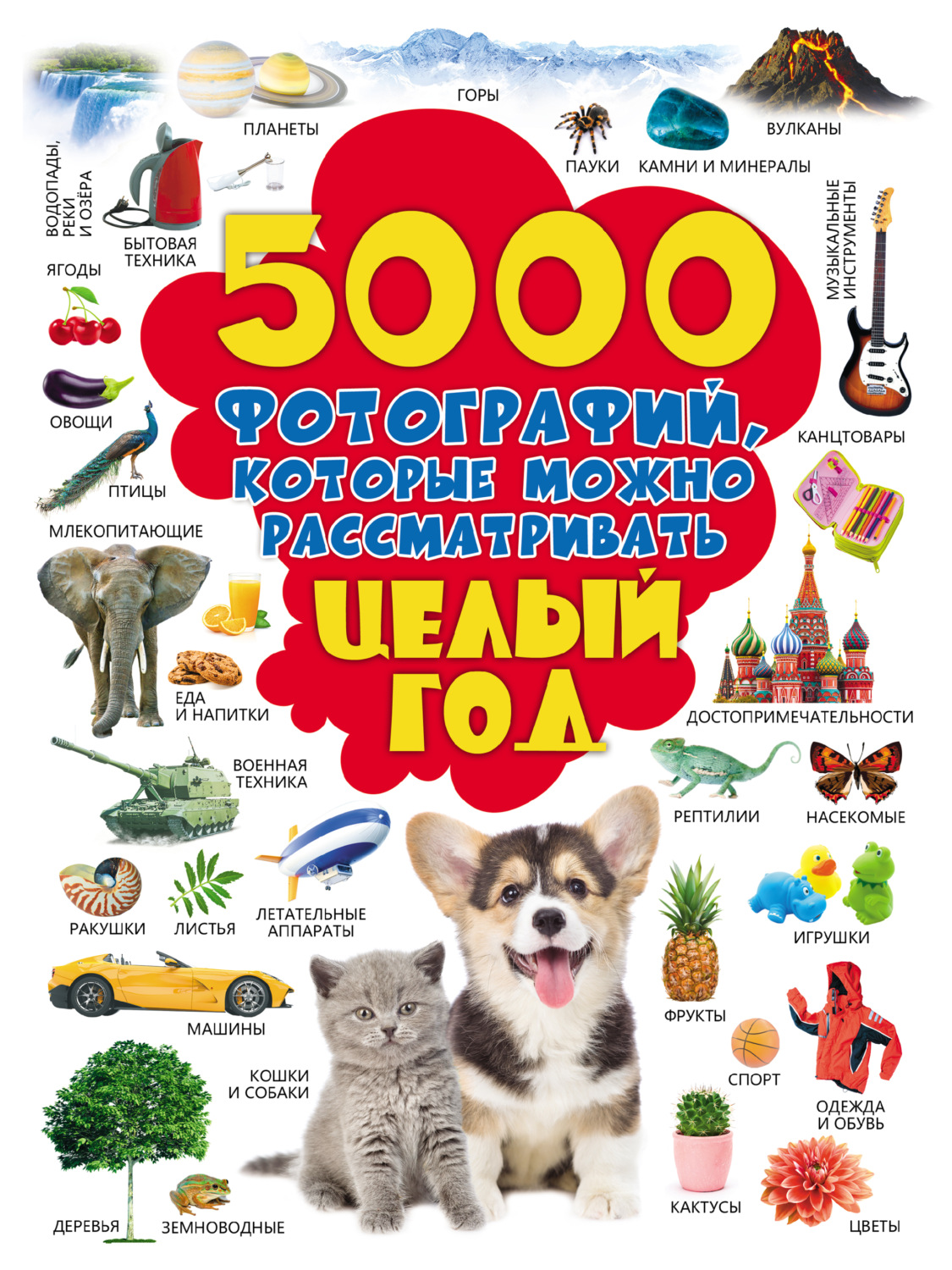 Обложка книги «5000 фотографий, которые можно рассматривать целый год»