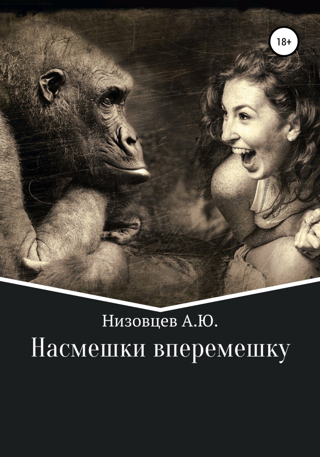 Обложка книги «Насмешки вперемешку»