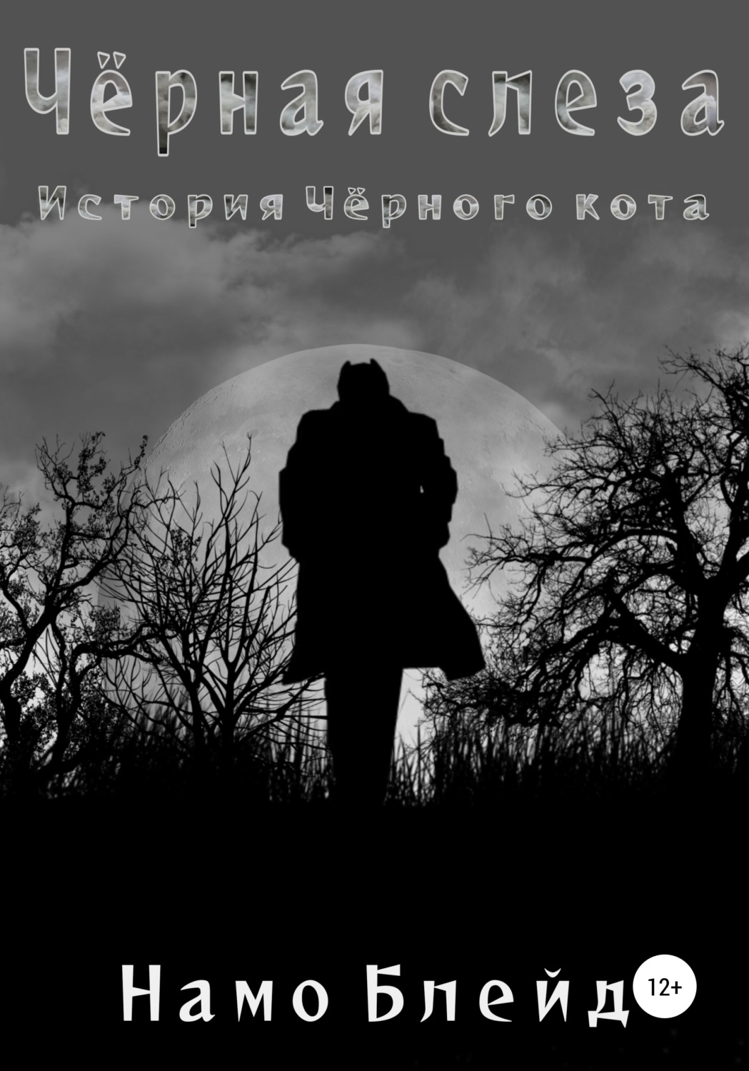 Обложка книги «Чёрная слеза. История чёрного кота»