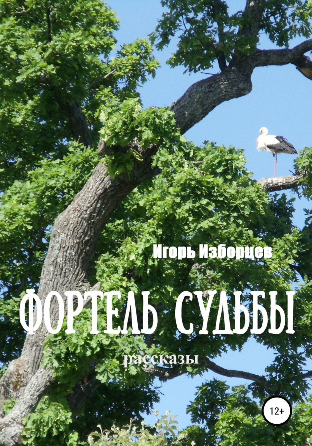 Обложка книги «Фортель судьбы»
