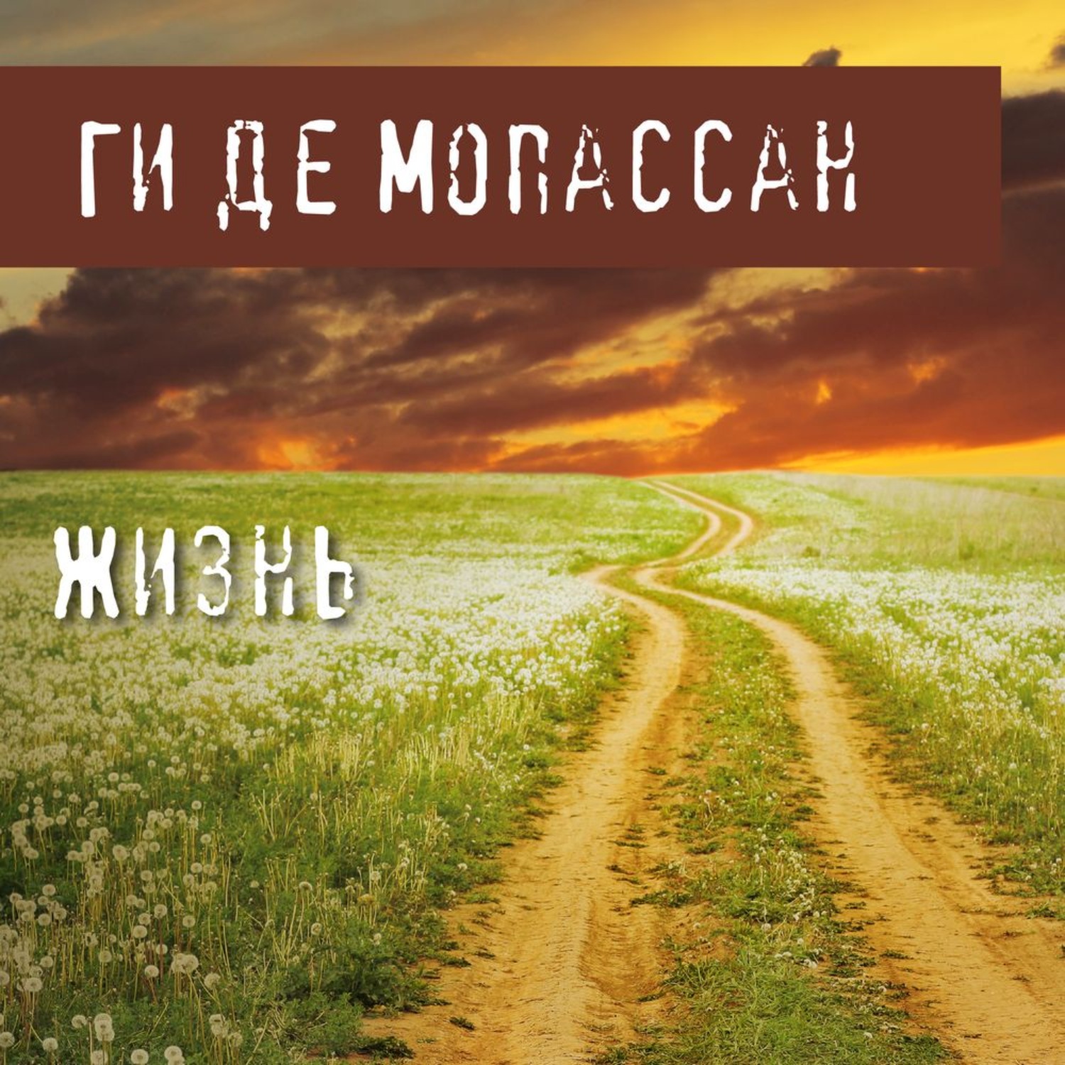 Обложка книги «Жизнь»
