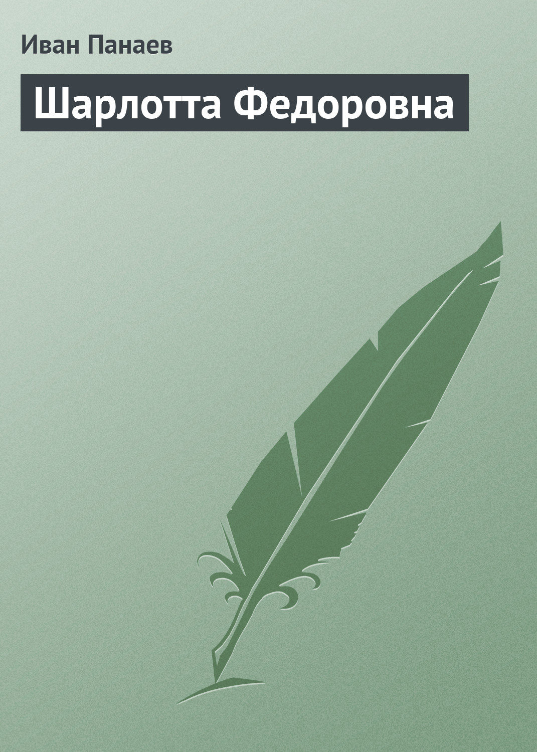 Обложка книги «Шарлотта Федоровна»