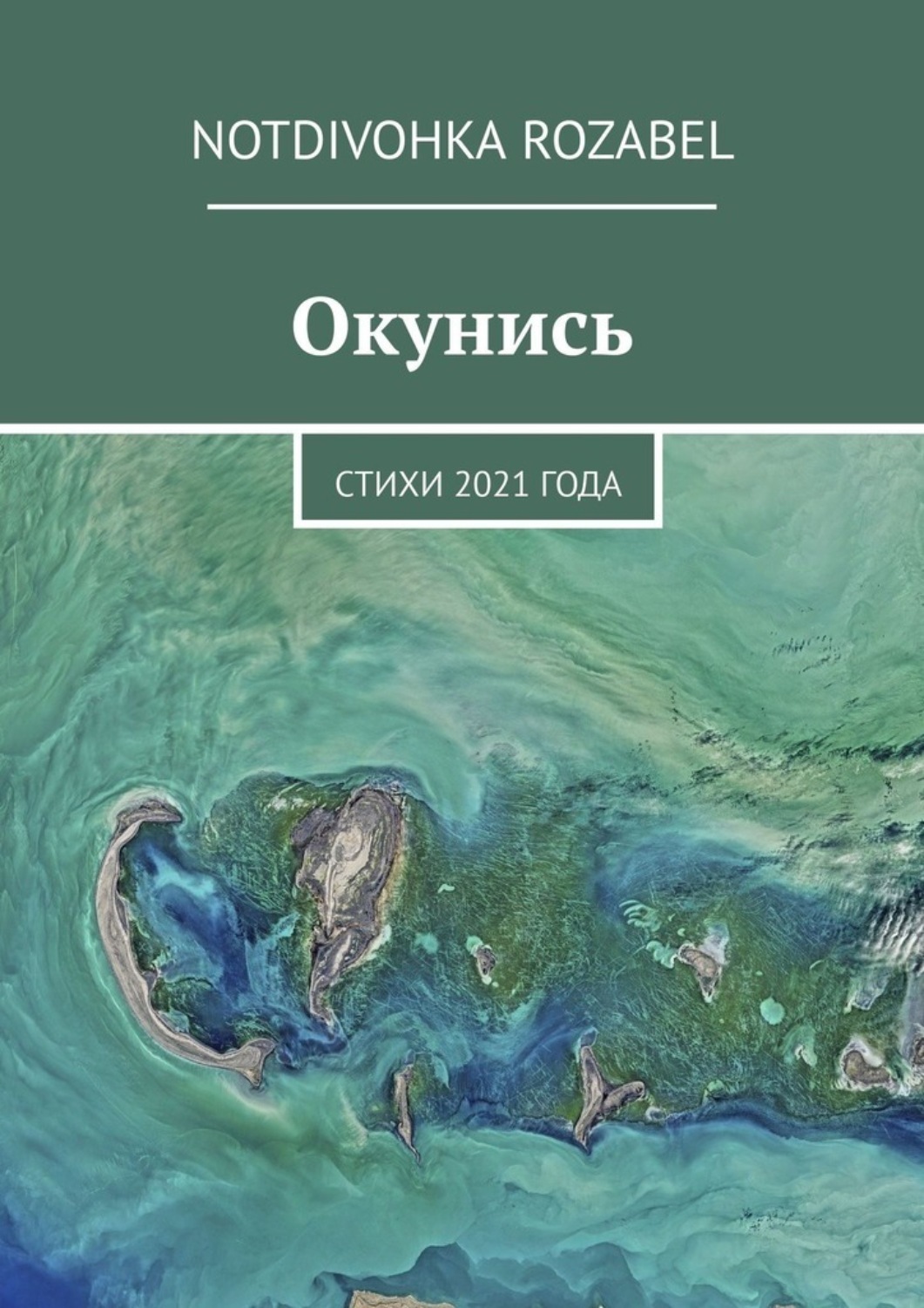 Обложка книги «Окунись. Стихи 2021 года»