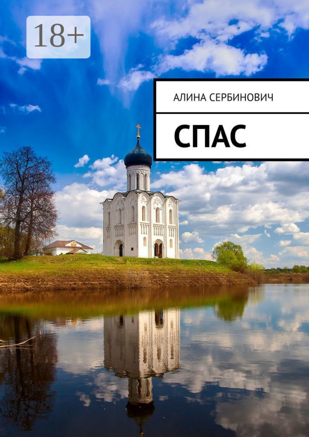 Обложка книги «Спас»