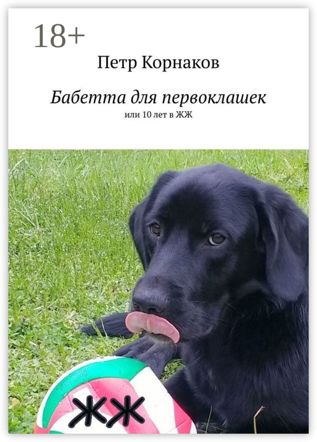 Обложка книги «Бабетта для первоклашек, или 10 лет в ЖЖ»