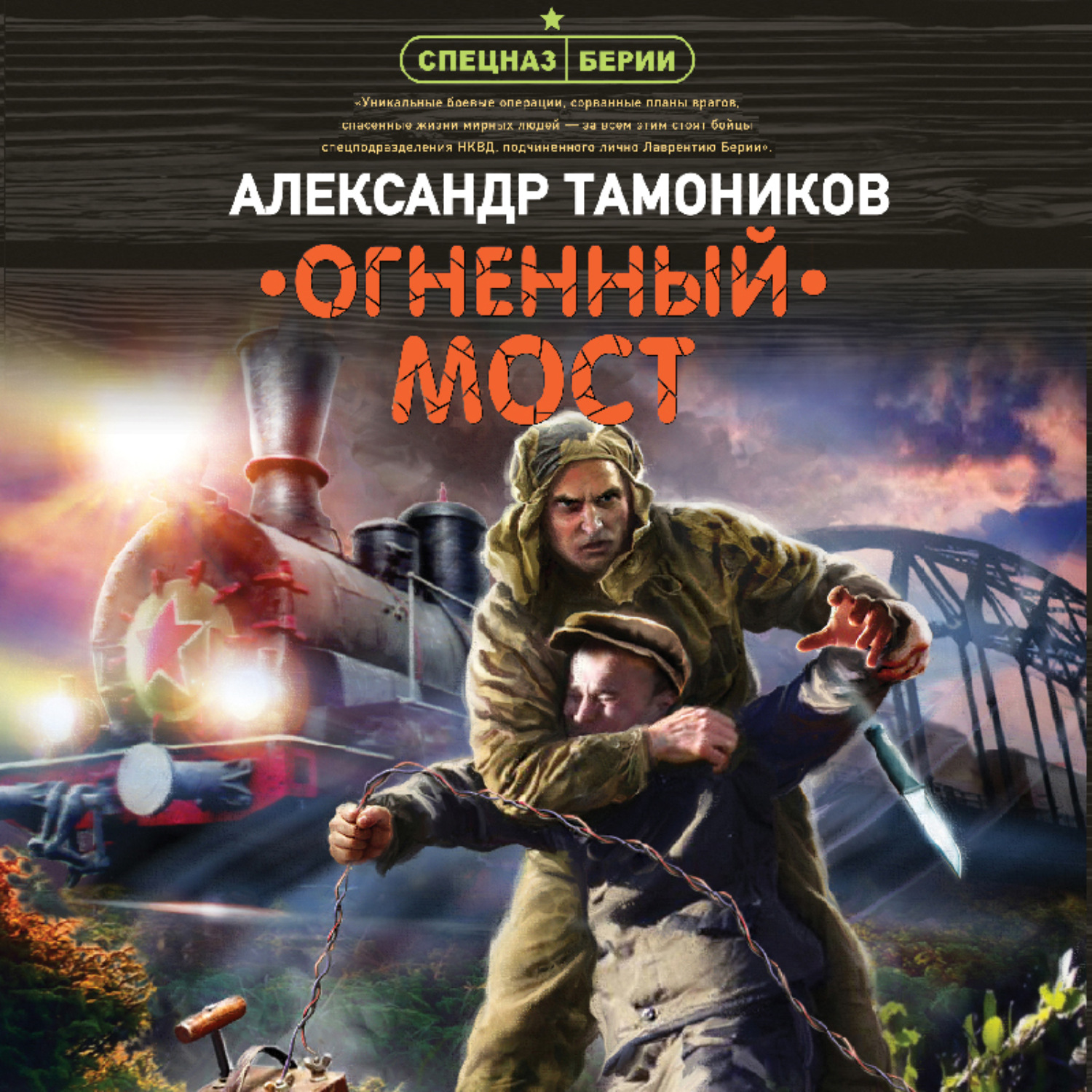 Обложка книги «Огненный мост»