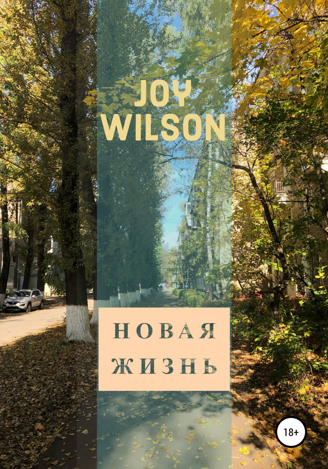 Обложка книги «Новая жизнь»