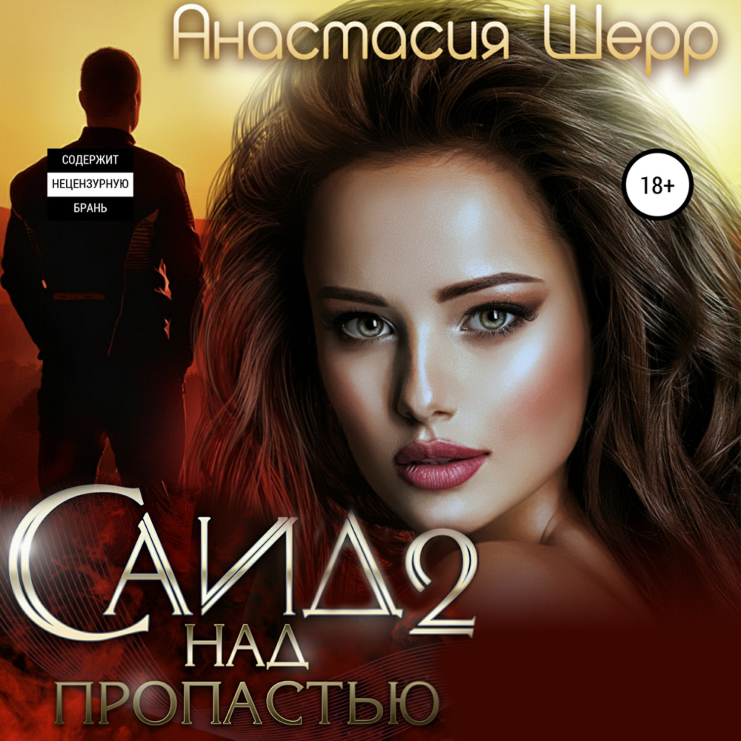 Обложка книги «Саид 2. Над пропастью»