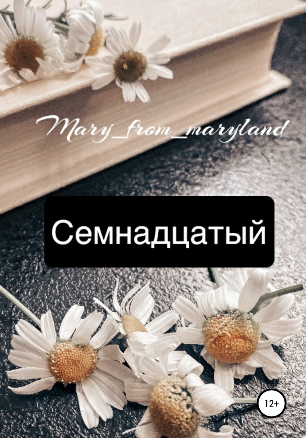 Обложка книги «Семнадцатый»
