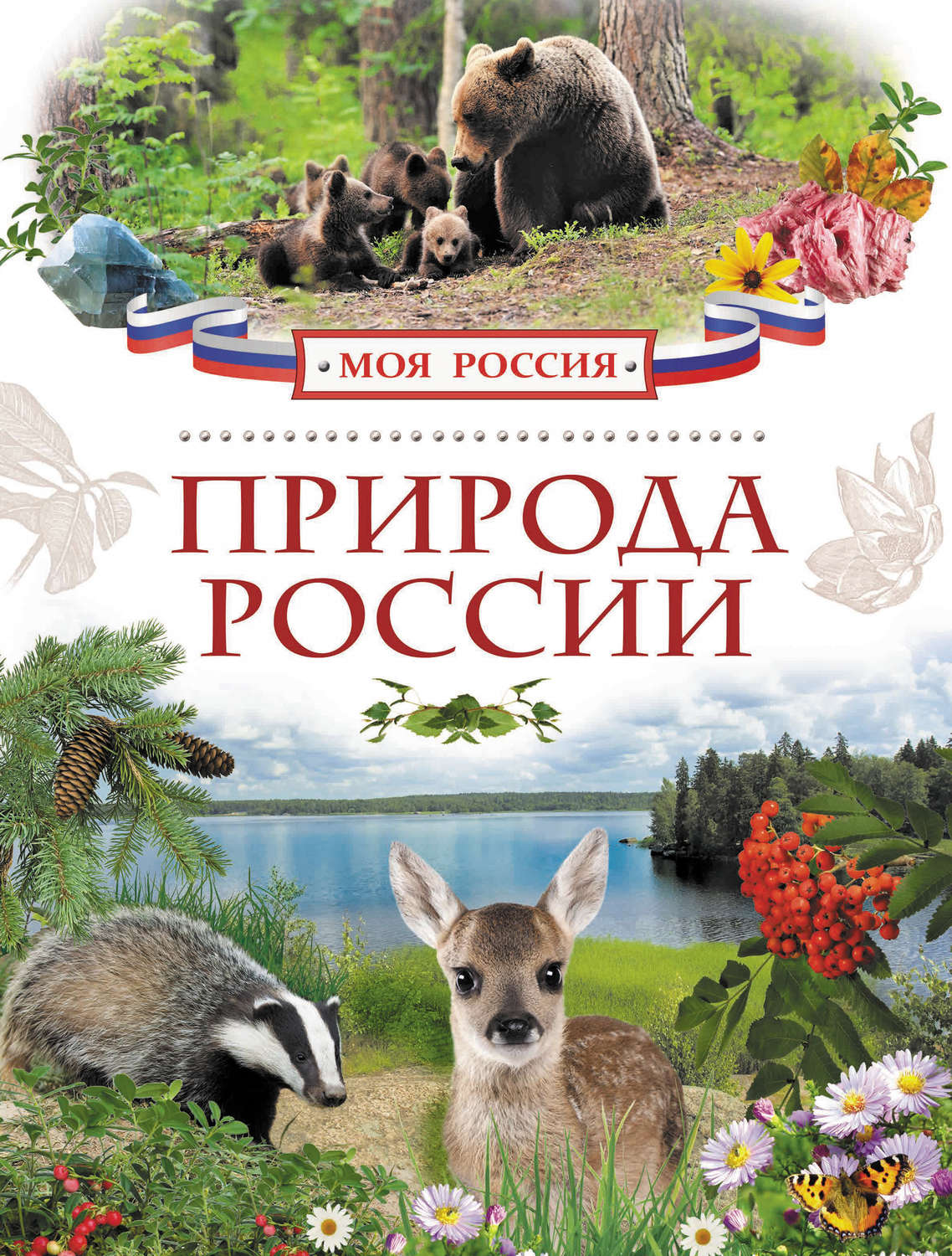 Обложка книги «Природа России»