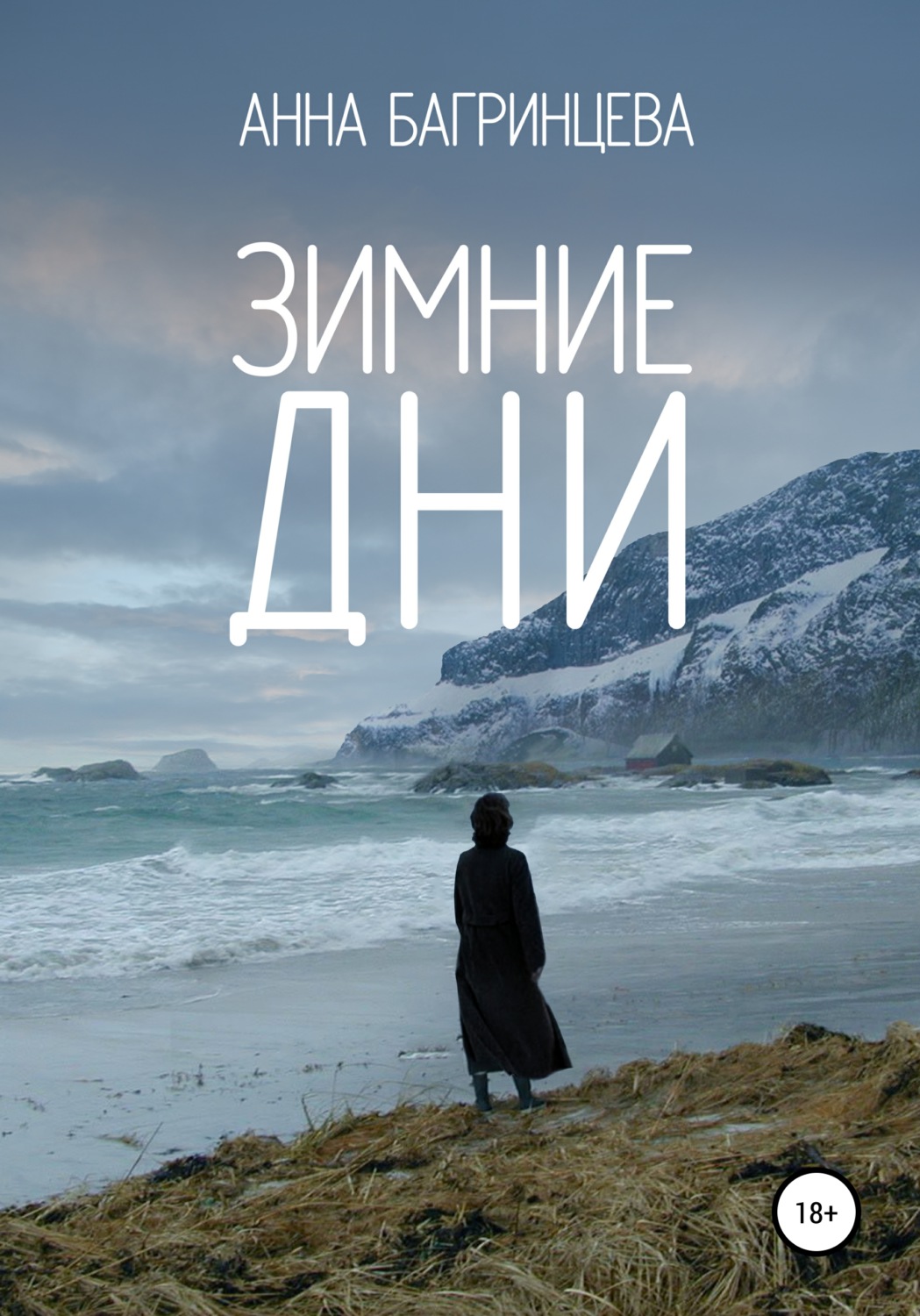 Обложка книги «Зимние дни»