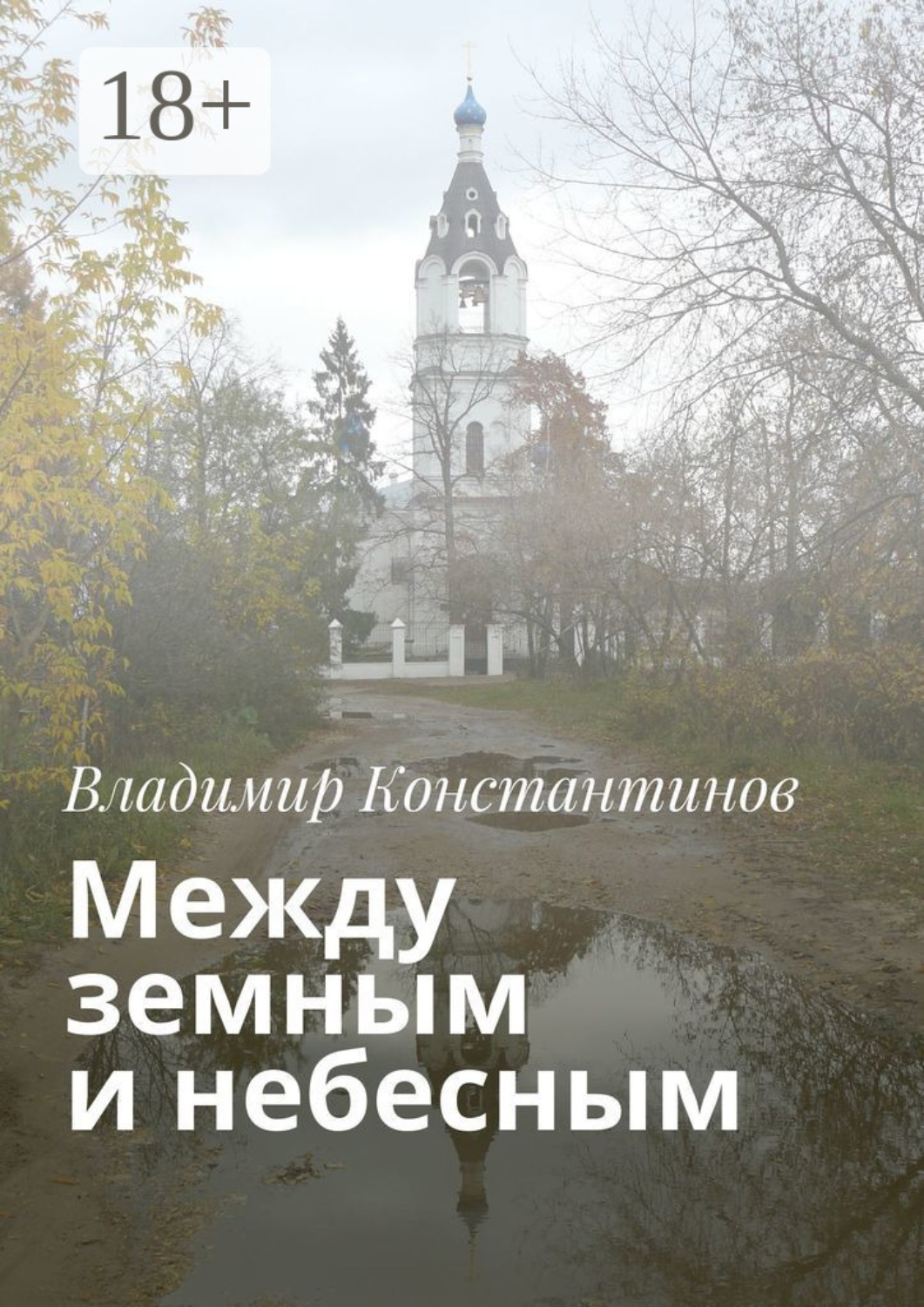 Обложка книги «Между земным и небесным»