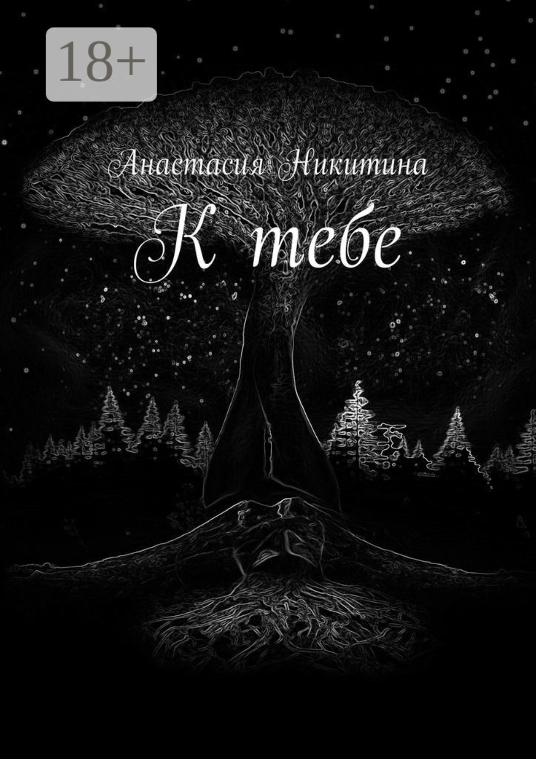 Обложка книги «К тебе»
