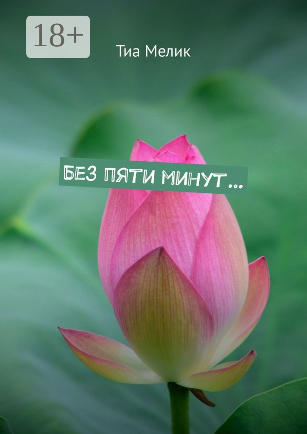 Обложка книги «Без пяти минут…»