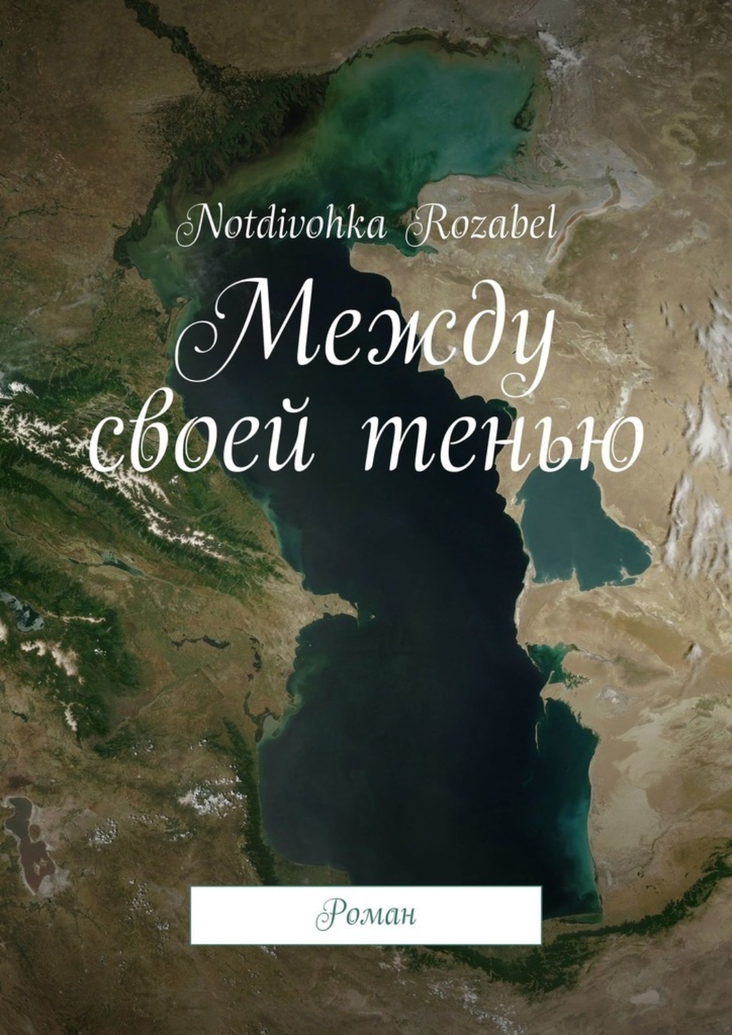 Обложка книги «Между своей тенью. Роман»