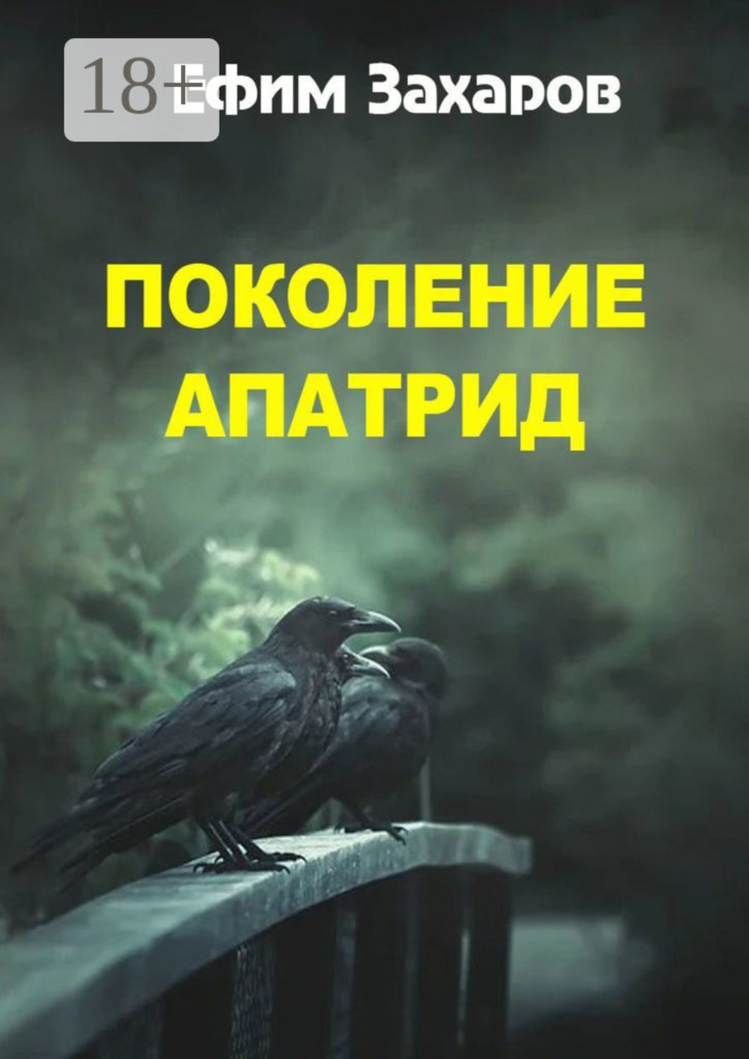 Обложка книги «Поколение апатрид»