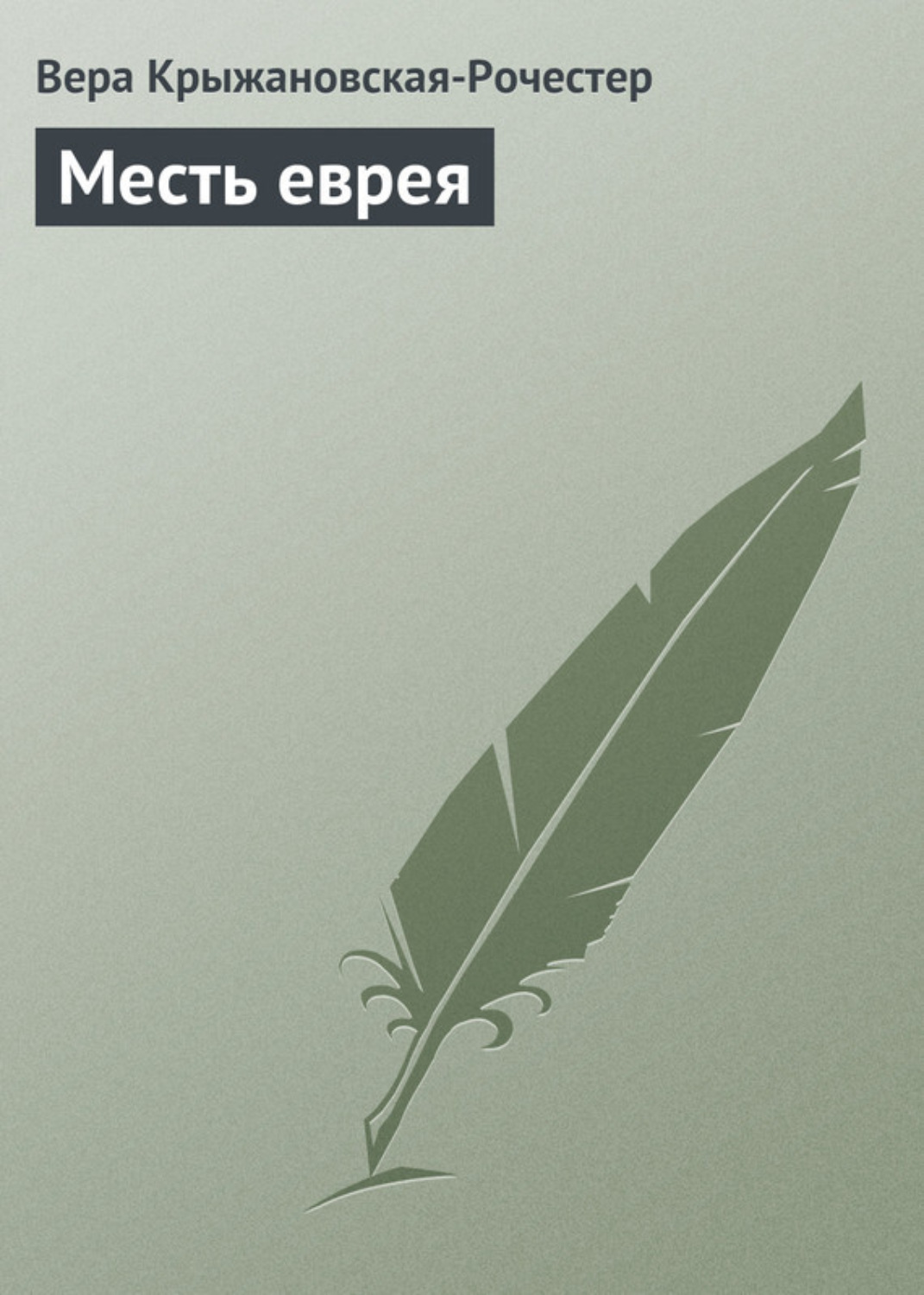 Обложка книги «Месть еврея»