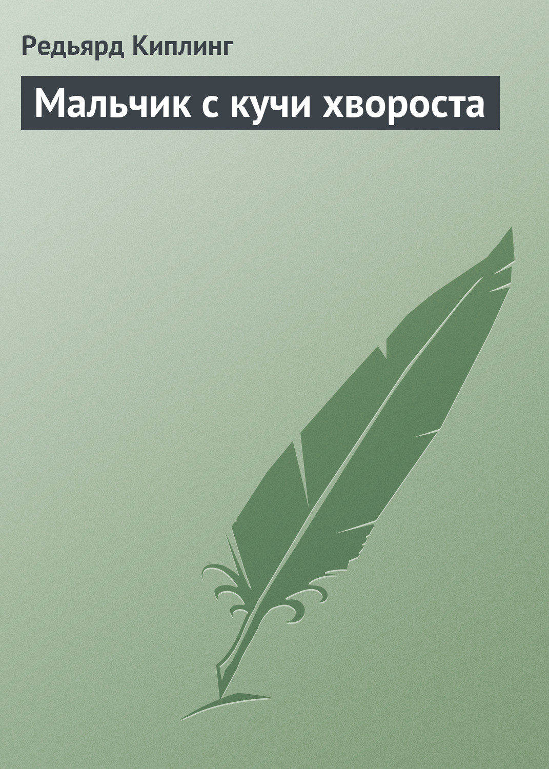 Обложка книги «Мальчик с кучи хвороста»