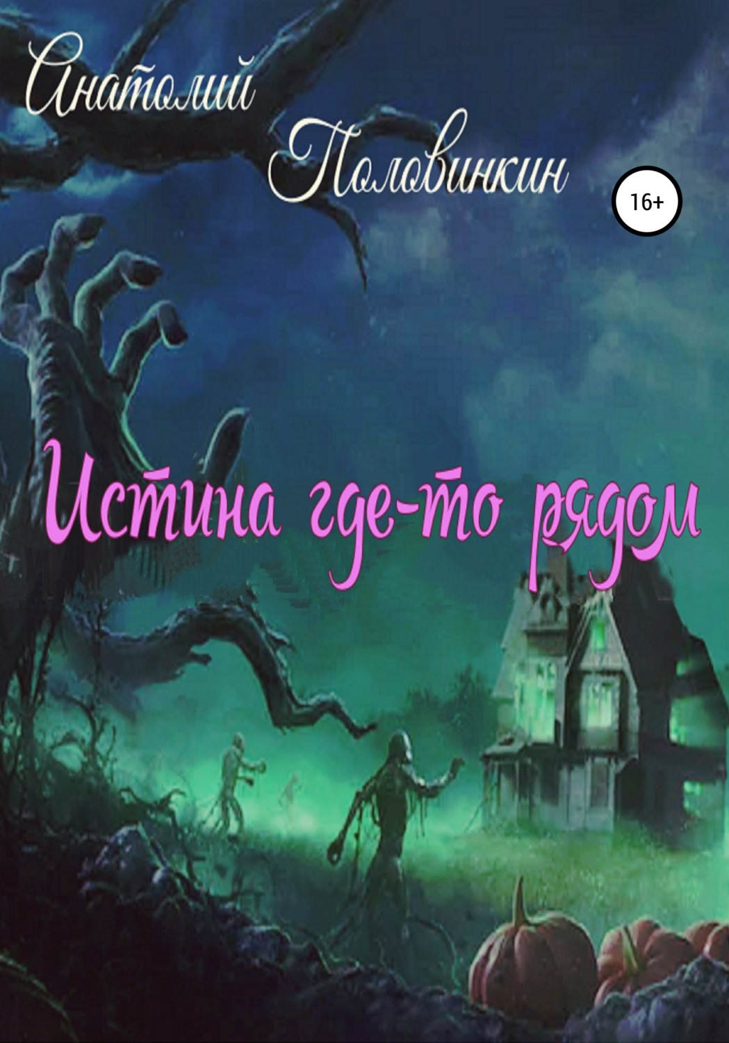 Обложка книги «Истина где-то рядом»