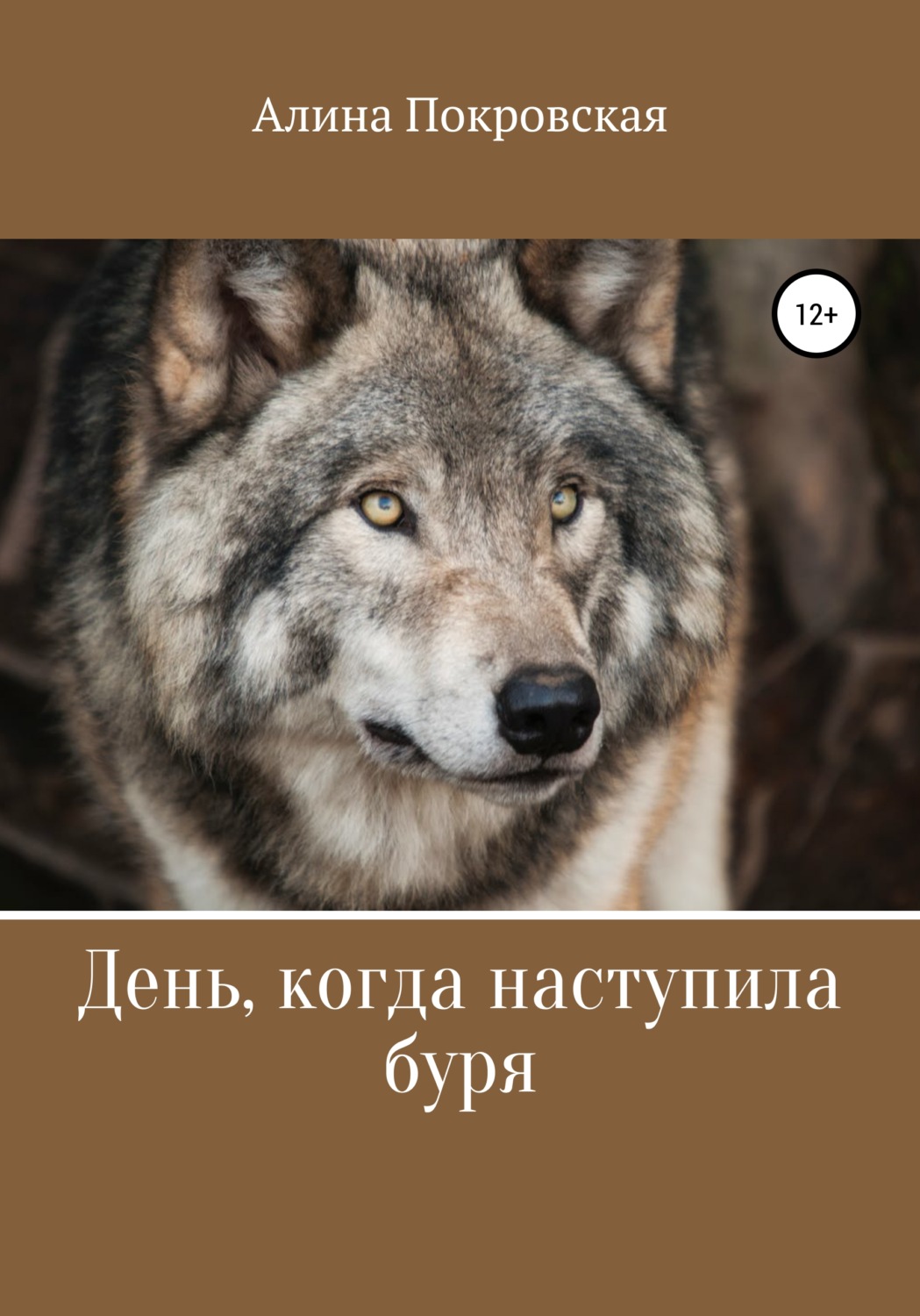 Обложка книги «День, когда наступила буря»