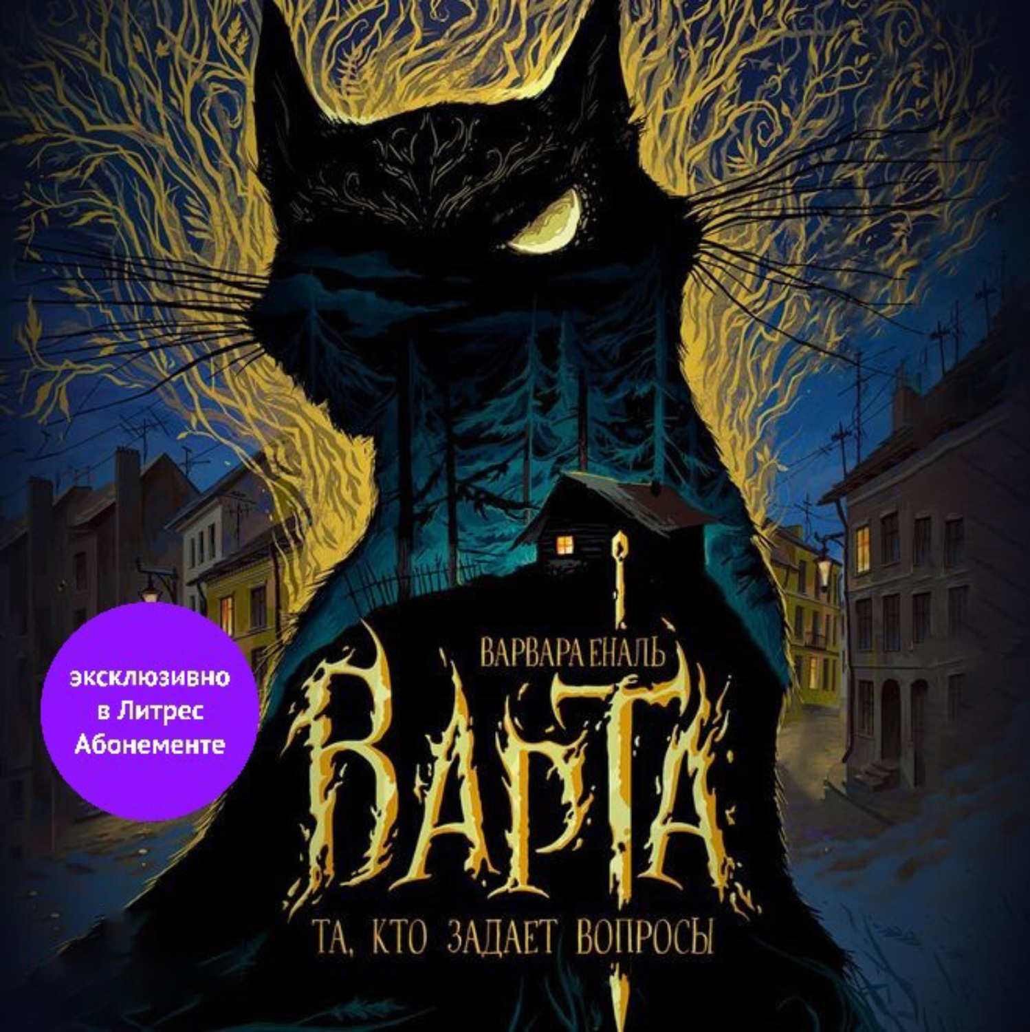 Обложка книги «Та, кто задает вопросы»