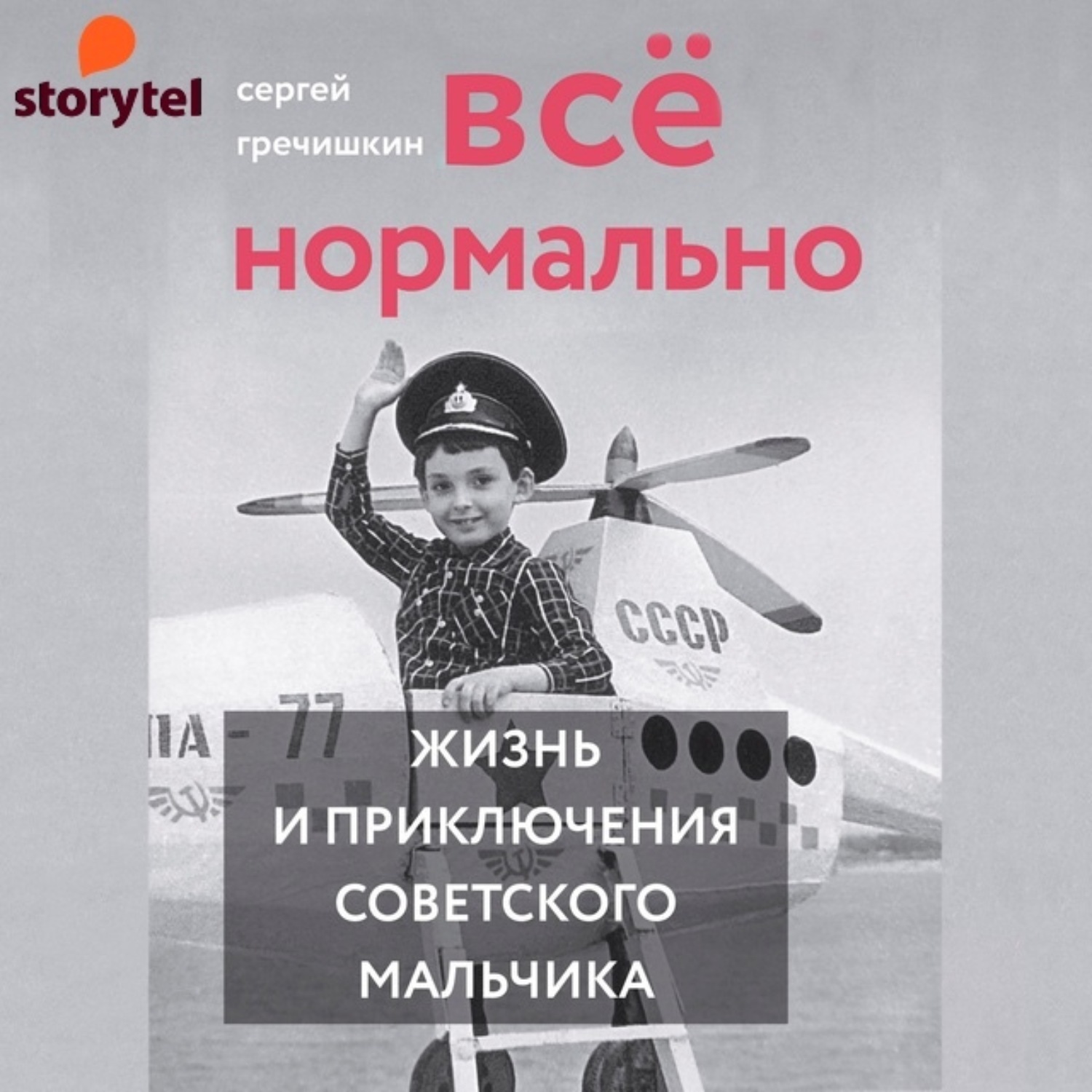 Обложка книги «Всё нормально»