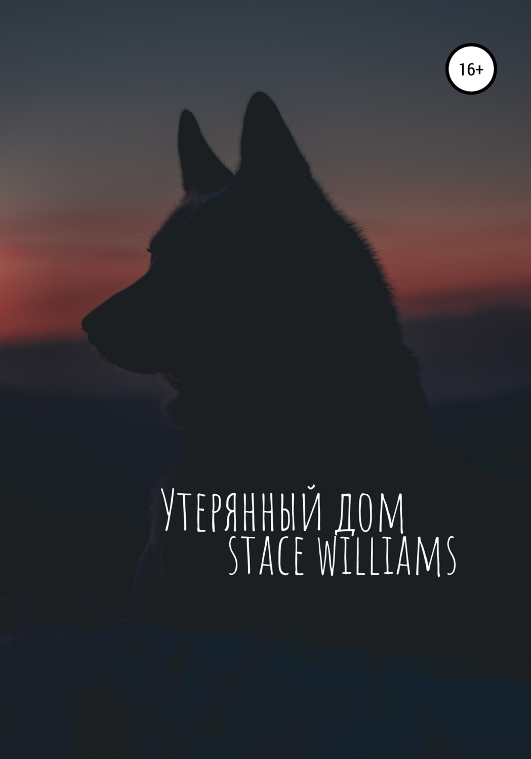 Обложка книги «Утерянный дом»