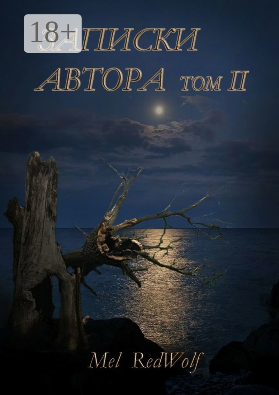 Обложка книги «Записки автора. Том II»