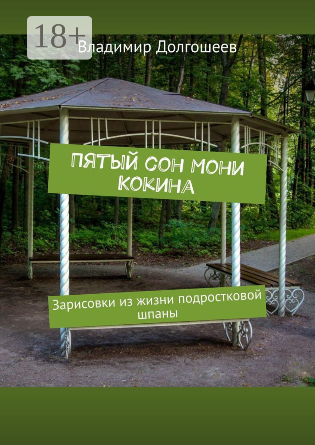 Обложка книги «Пятый сон Мони Кокина. Зарисовки из жизни подростковой шпаны»