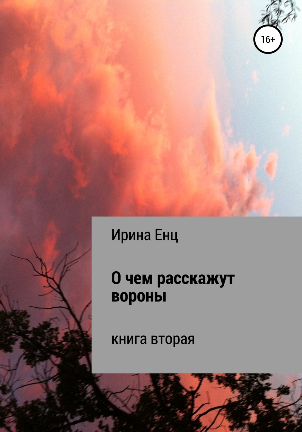 Обложка книги «О чем расскажут вороны»
