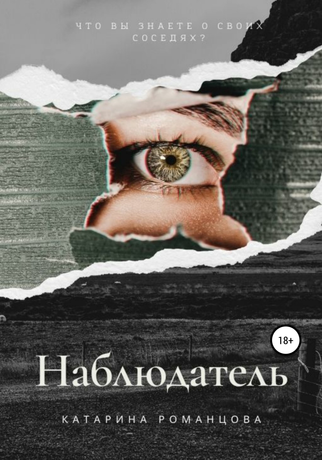 Обложка книги «Наблюдатель»
