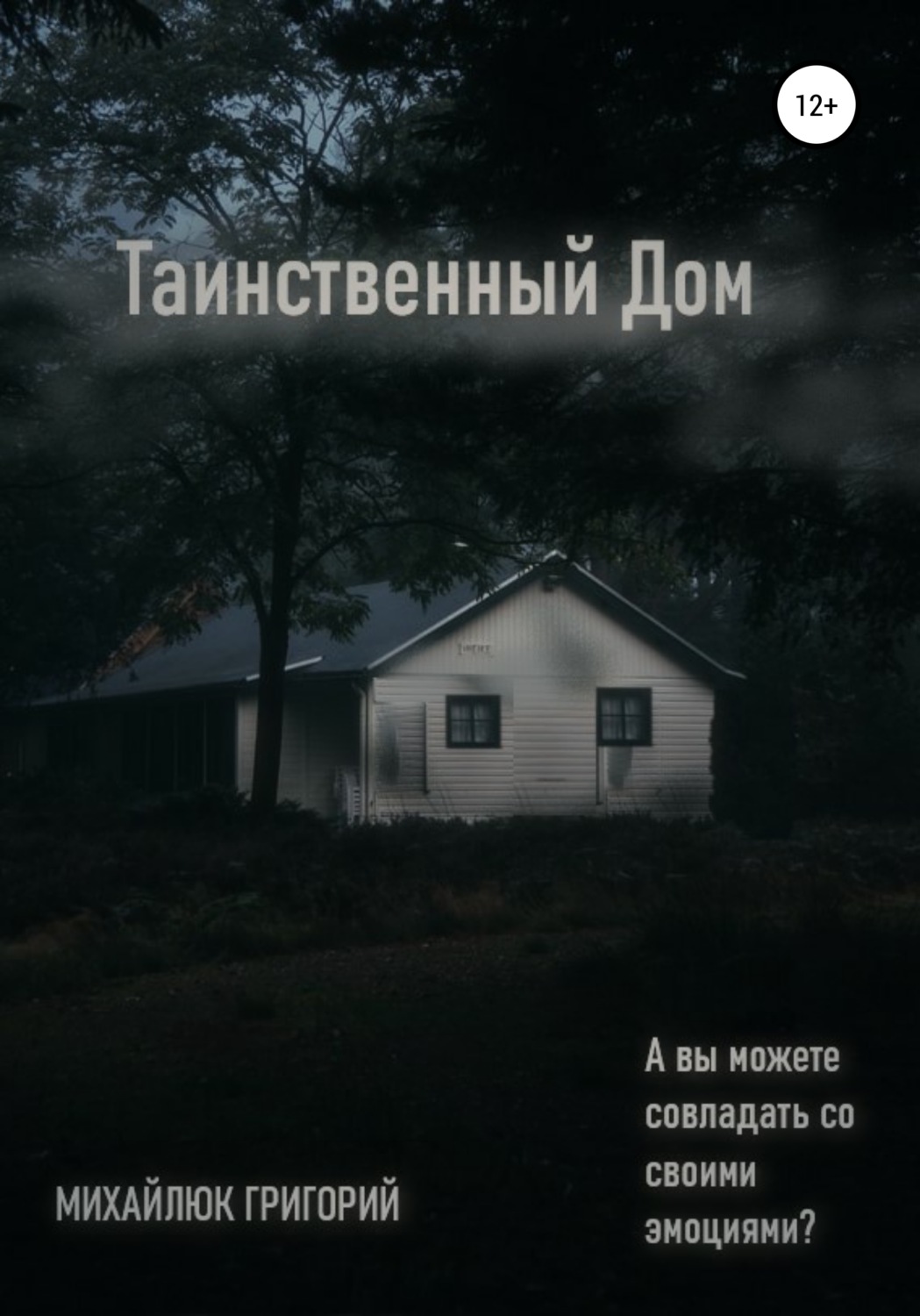 Обложка книги «Таинственный дом»