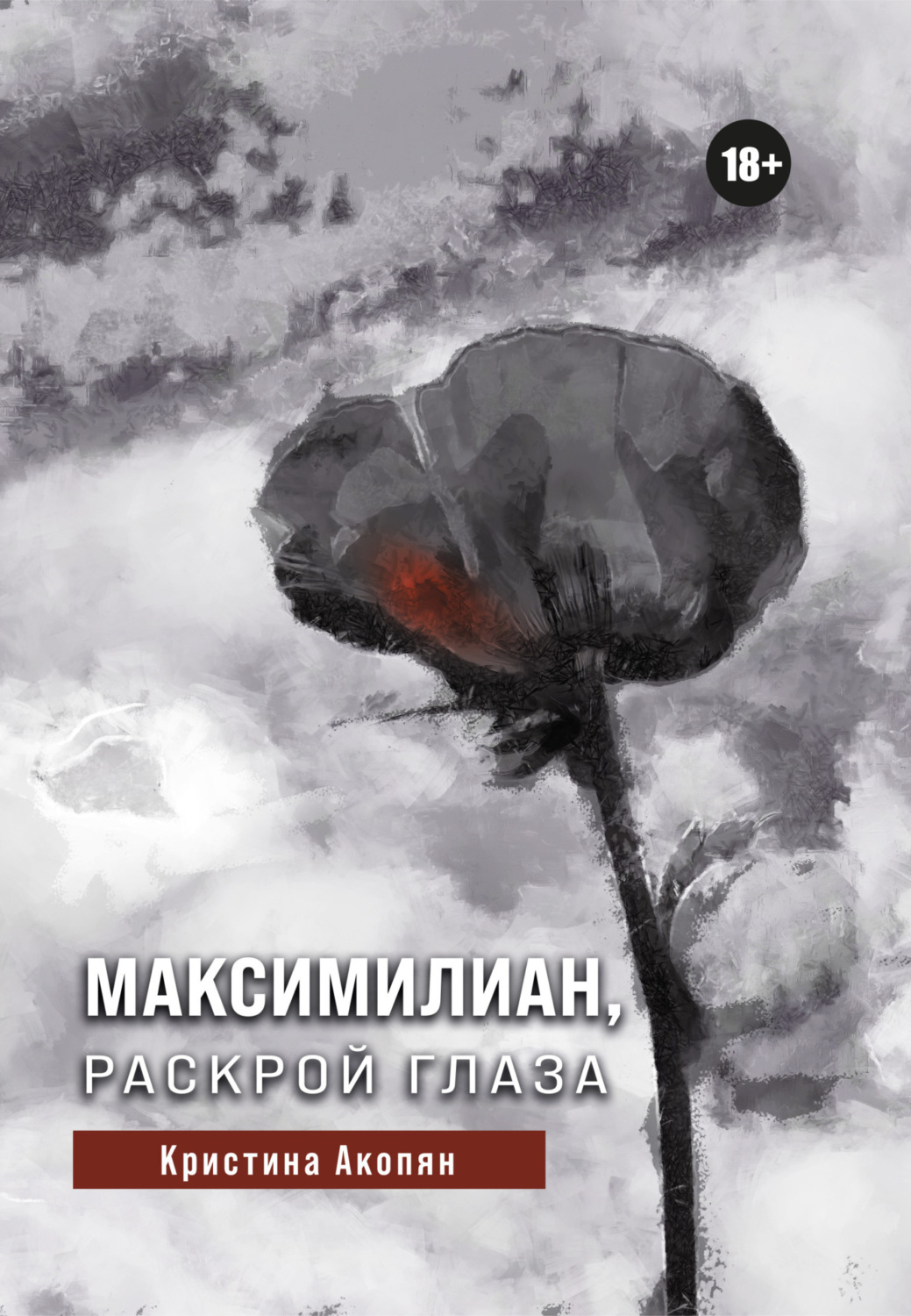 Обложка книги «Максимилиан, раскрой глаза»