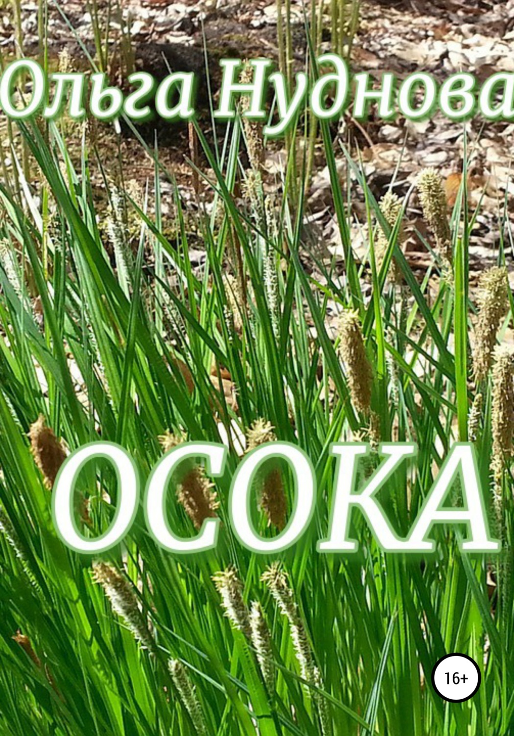 Обложка книги «Осока»