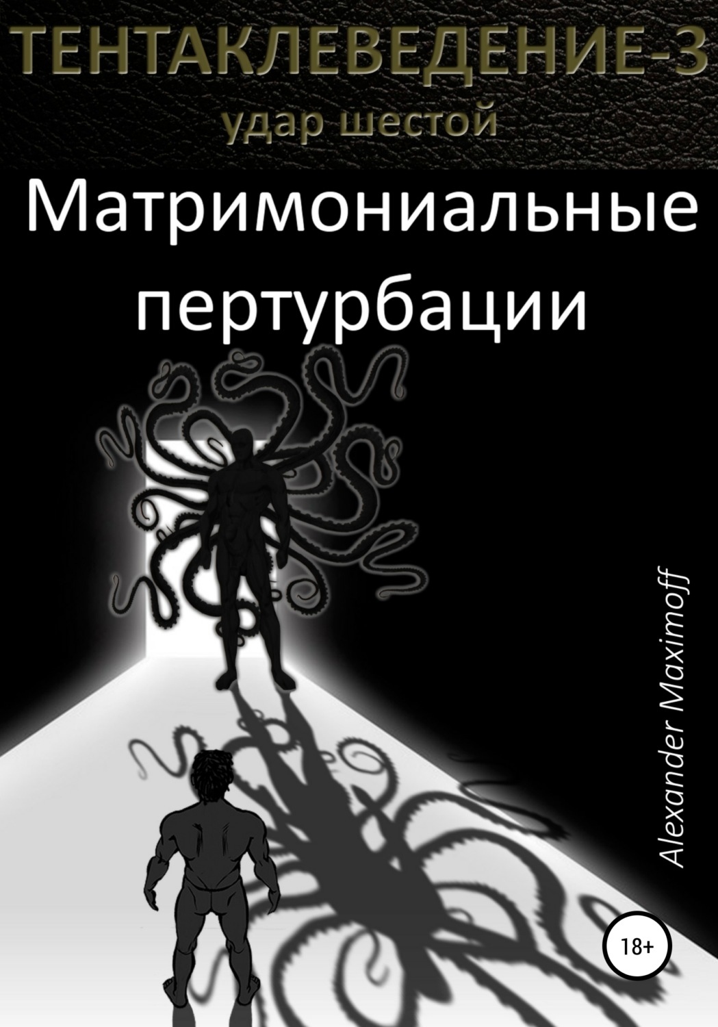 Обложка книги «Матримониальные пертурбации»