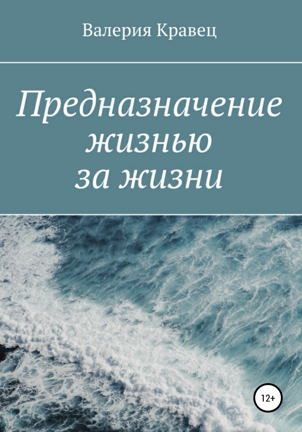 Обложка книги «Предназначение жизнью за жизни»