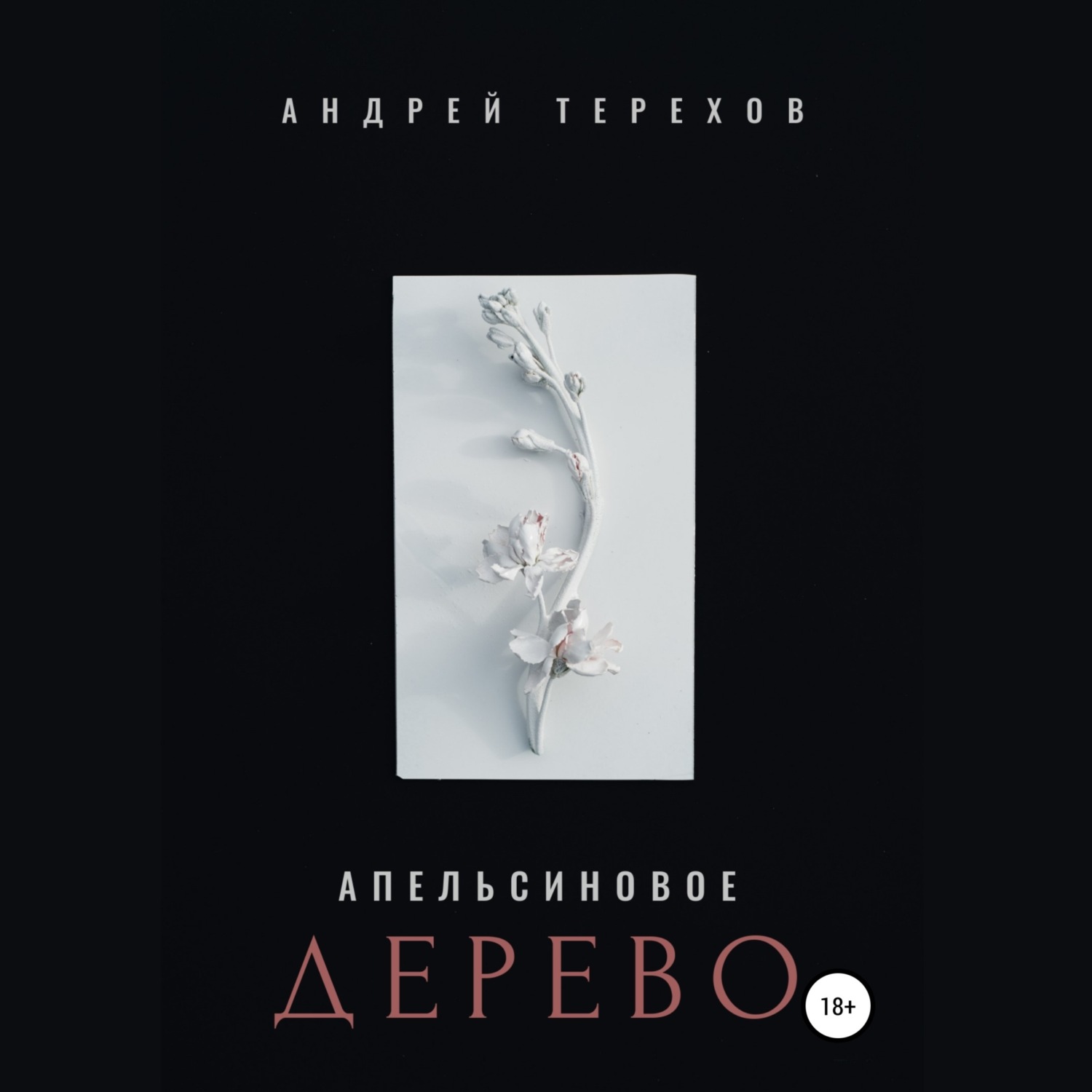 Обложка книги «Апельсиновое дерево»