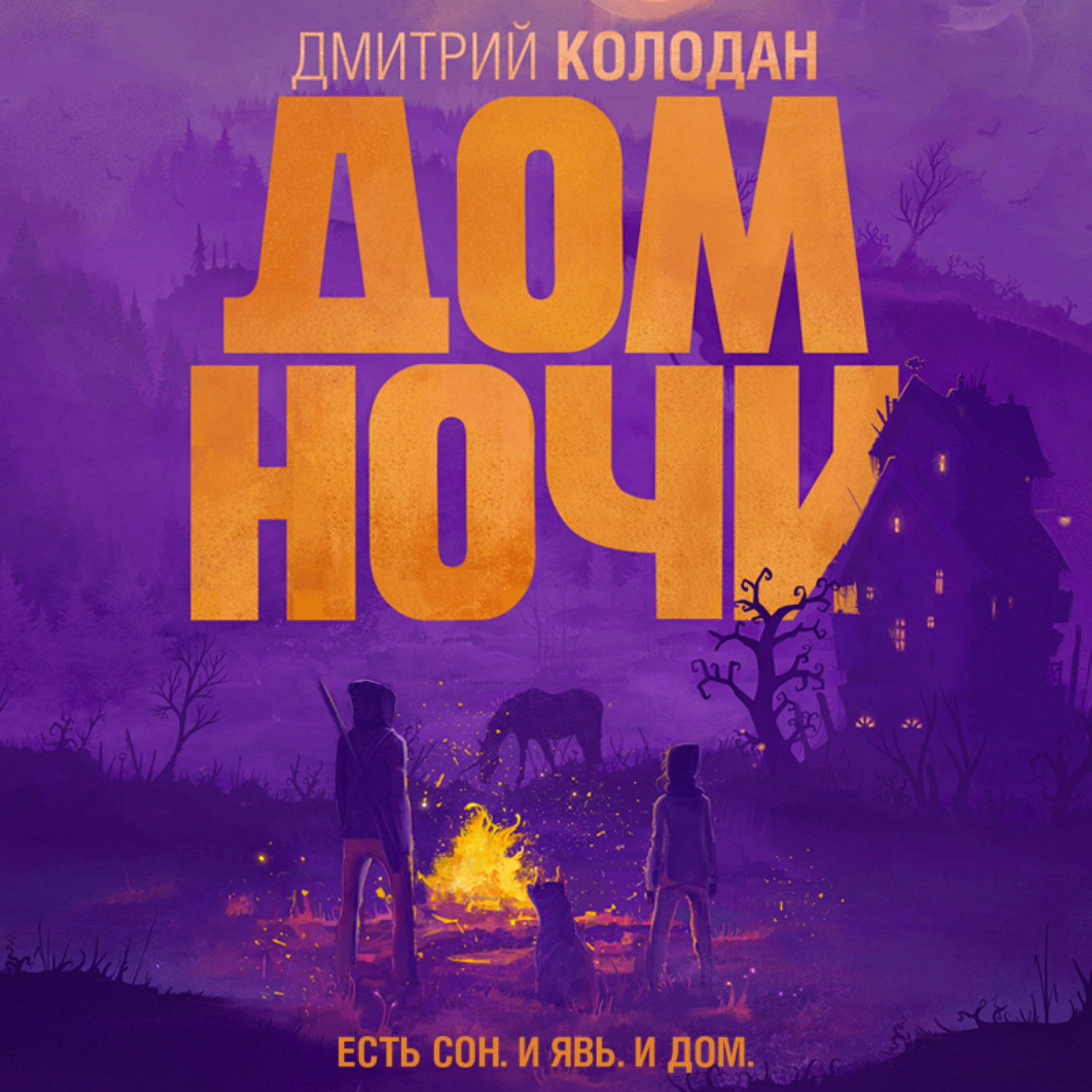 Обложка книги «Дом Ночи»