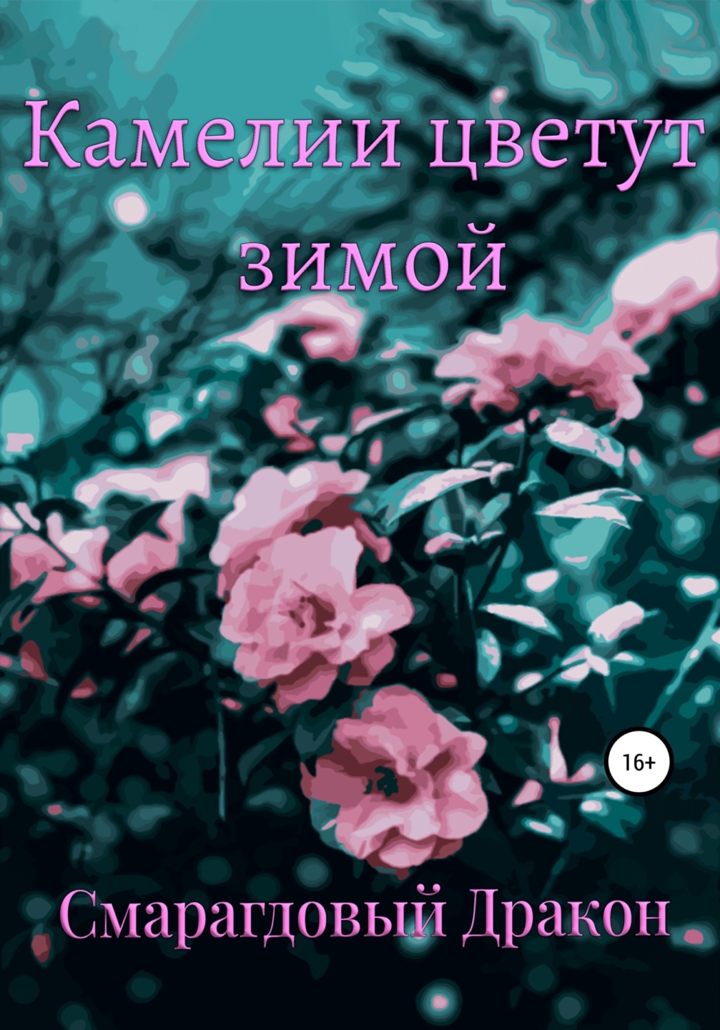 Обложка книги «Камелии цветут зимой»