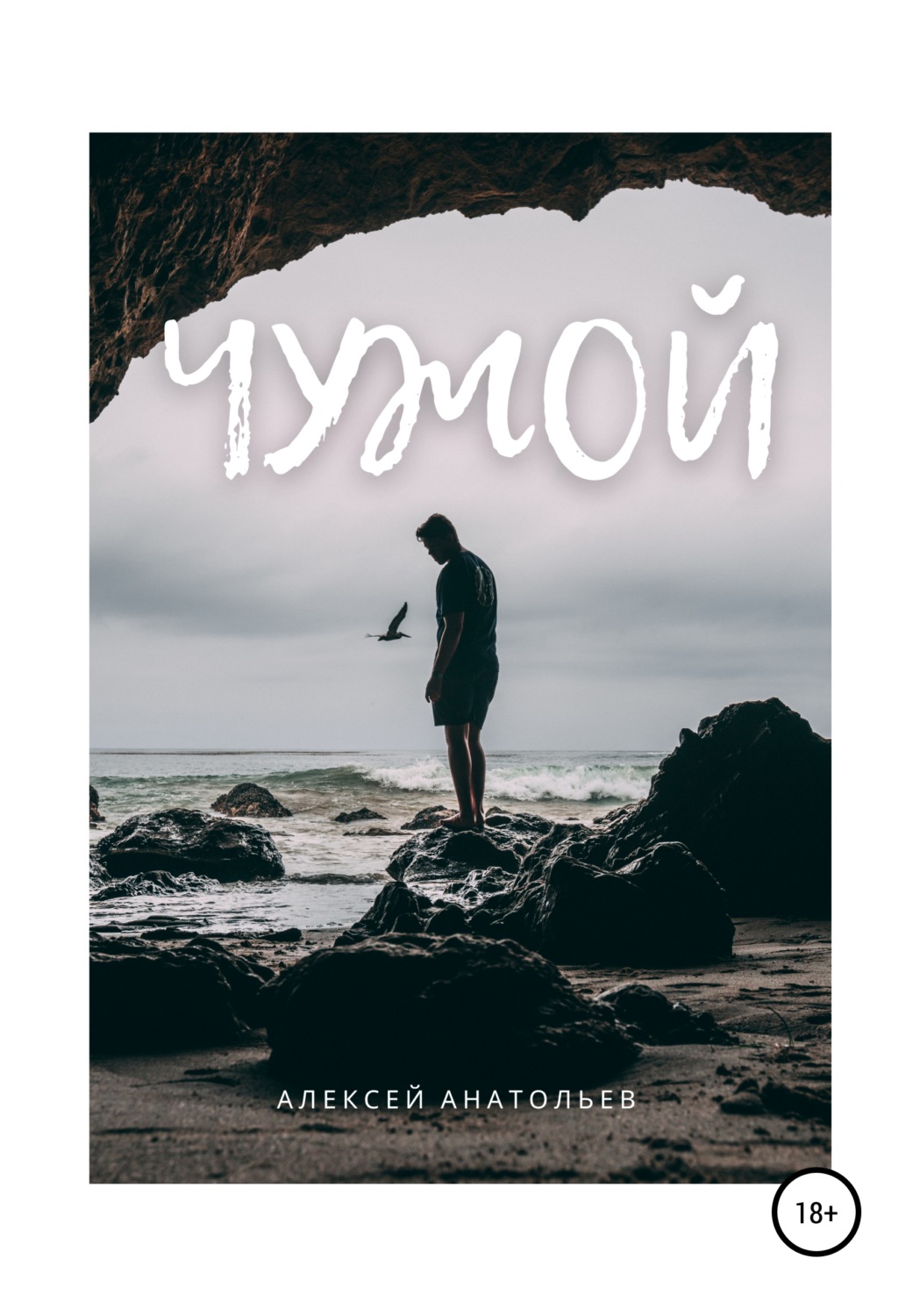 Обложка книги «Чужой»