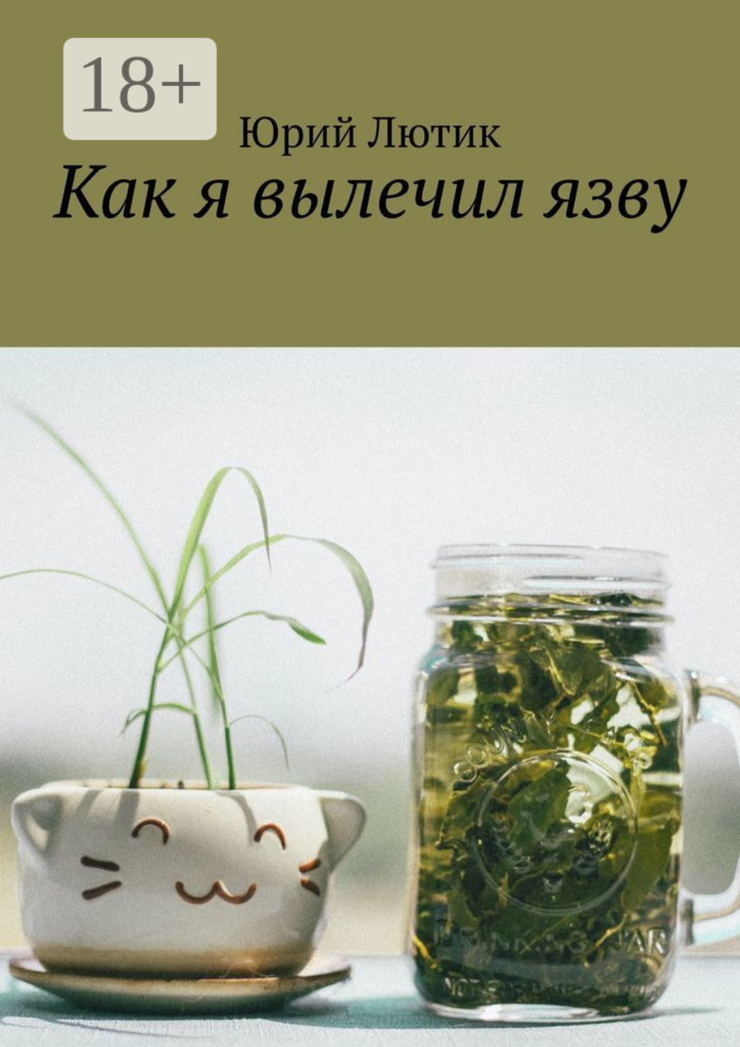 Обложка книги «Как я вылечил язву»